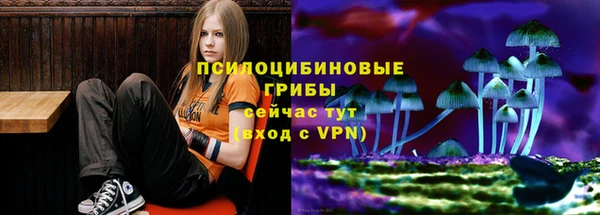 не бодяженный Дмитров