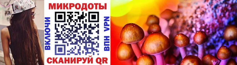 Галлюциногенные грибы Magic Shrooms  Купить  Солнечногорск 