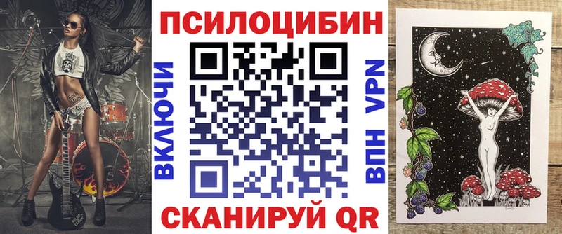 Галлюциногенные грибы Psilocybe Солнечногорск